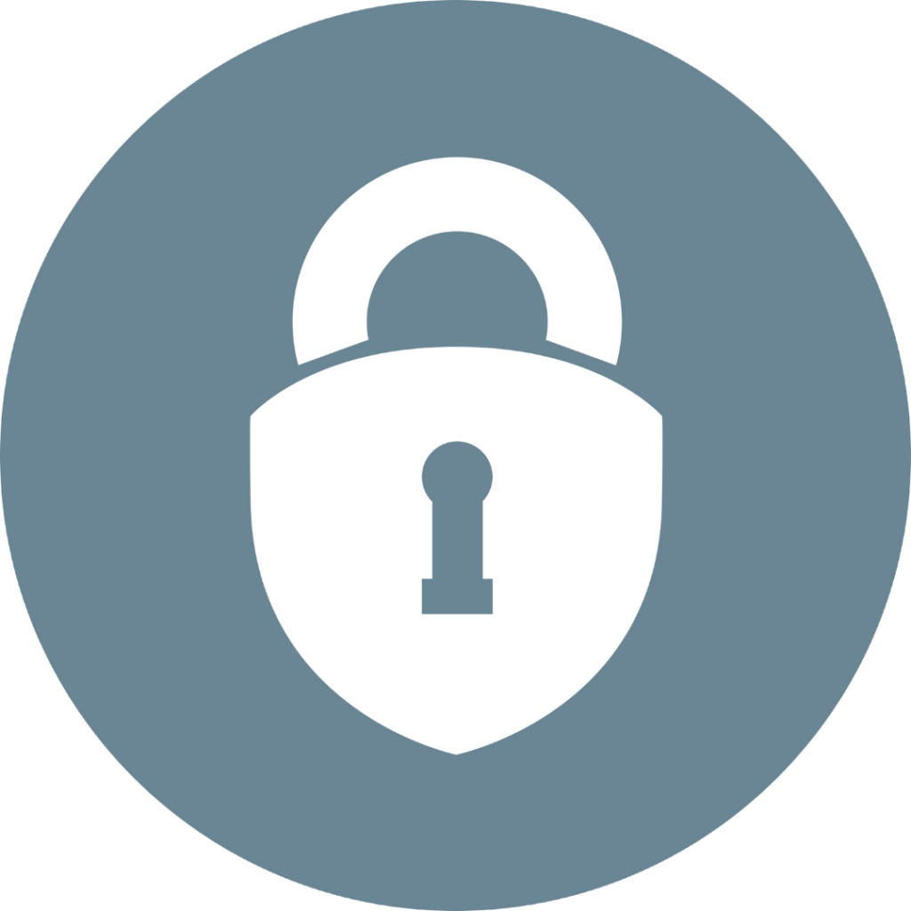 Datenschutz Icon